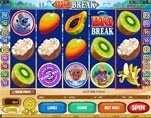 Big Break Video Slot